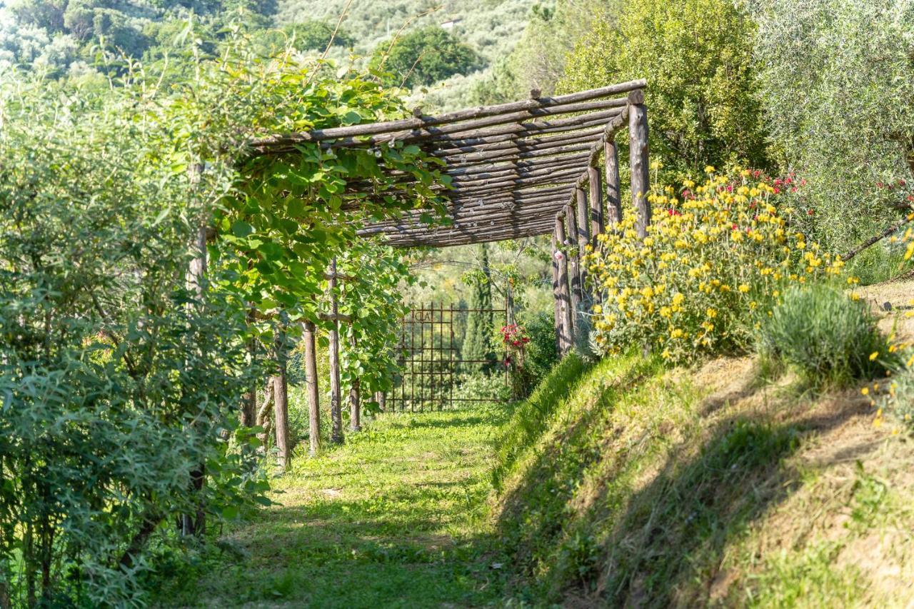 Agriturismo Bellandi Санта-Лучия Экстерьер фото